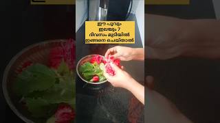 വെറും 7ദിവസം മതി /poppy vlogs