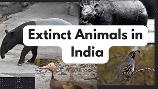 Extinct Animals in India