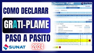 🟩🔶COMO REGISTRAR LAS GRATIFICACIONES EN EL PLAME 2024