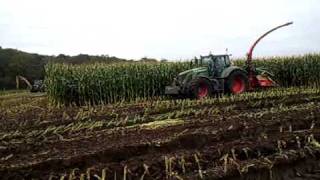 mais hakselen 2010 fendt 936