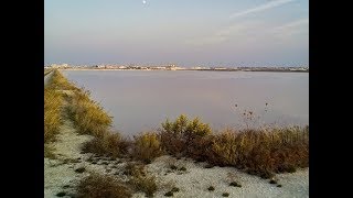 Riserva naturale Saline di Margherite di Savoia