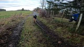 German shepherd on walk. Eros på tur. 10.11.2024. still you tubes most boring video part 2