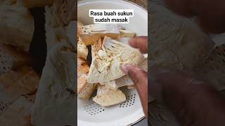 rasa sukun sudah masak#berkebun #berkebundirumah #pertanian #petualangan