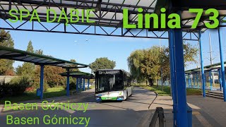 SPA Dąbie, linia 73 - Solaris Urbino 12 IV #2815