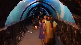 Oceanos Underwater Tunnel Expo 2019 | Thiruvalla | Kerala