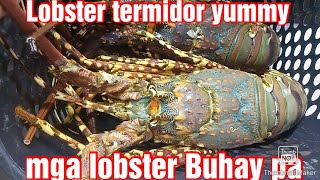 #Termidor lobster live 9.7kg #paano ba ito #lutoin napakasarap