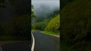 🌨️ Road ❤️ Trip 🌨️ in ❤️ Monsoon 🌨️          #shorts #shortsfeed #shortsviral #roadtrip #chikmagalur