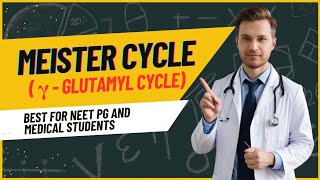 Meister cycle | Gamma glutamyl Cycle | #biochemistry