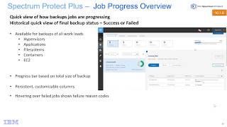 IBM Spectrum Protect Plus 10.1.6 - Job Progress Overview - Demo