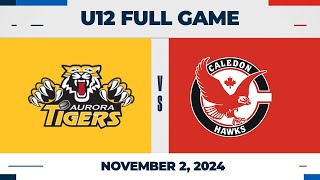 Caledon Hawks vs Aurora Tigers (Gold) | U12B - Nov 2 2024