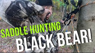 Bowhunting black bear from a saddle...