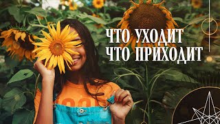 4 королевы. Что уходит? Что приходит? | Helen Aaron | Расклад Таро