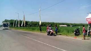 Bus mahkota telolet lagu iwak peyek