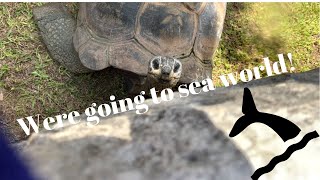 Vlog : 3 We’re going to seaworld🐬🐧🎢