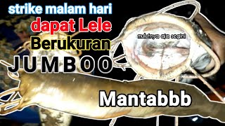 Vidio pertama | Mancing di malam hari dapat lele Jumbo..! Mantabb