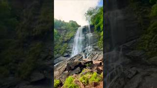 Where every drop tells a story.. #shorts #youtubeshorts #shortsfeed #waterfall #trending #viral #yt