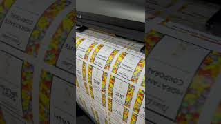 Plotter de recorte  automática Jinka Câmera - Instalada em Santo André - SP