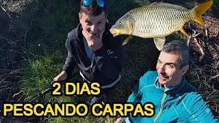 2 DÍAS DE PESCA DE CARPAS        #shorts