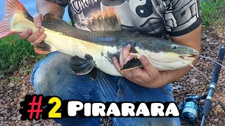 #2 Pirarara pega 🐟🎣 a meta é pega 50😎 #pirarara #pescaesportiva #pescador