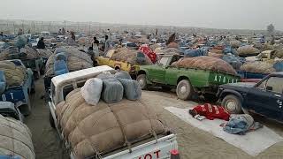 تیل کی قیمتوں میں اتار چڑھاو اور ایران بلوچستان باڈر پر غریب عوام Smuggling on Pak Iran Border