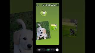 Combine Multiple Photos into a Single Instagram Story #howto #instagram #story