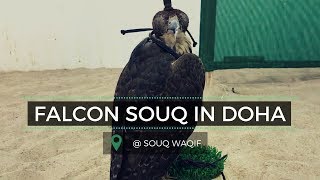 Falcon Souq in Doha (Souq Waqif) | Qatar Market