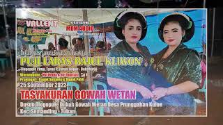 TAYUB TUBAN Nyi Henik & Nyi Supriati Live Dusun Gowah Wetan Desa Prunggahan Kulon Semanding DISC D