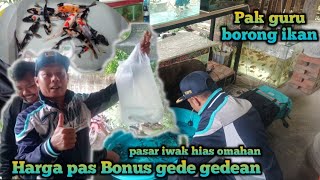 Ciptakan pasar ikan hias d depan rumah omset lumayan // iwak hias omahan