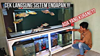 Update Sistem Filtrasi Endapan Sumpfilter Di Tank Predator ||  Penampung Kotoran Utama.