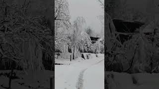 Fresh snow fall. #song #bollywood #newsong #kashmir #snowfall #kashmirheaven #railwaybridge #love