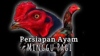 Kegiatan Rutin Mempersiapkan Ayam Di Minggu Pagi