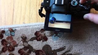 Sony A7s with Minolta A-mount lens AF speed test