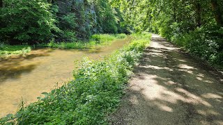 Hiking Pennyfield Lock on the C&O Canal, May 11, 2024