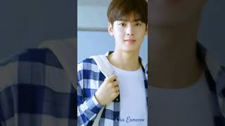 PERFECT HANDSOME CHA EUNWOO 😍 Please help me subscribe 🙏🏻 #chaeunwoo #kpop #shorts #fyp