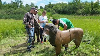 3D. Archery shooting Manitoba NEEPAWA