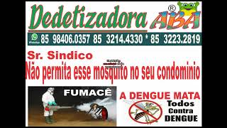 DEDETIZAÇÃO CONTRA DENGUE MORRO BRANCO (85) 3223.2819