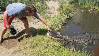 Alligator Wrestling Class (Colorado Gators)