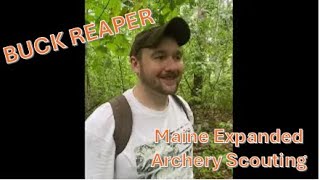 Early scouting for deer gearing up for Maine Expanded Archery! - Buck Reaper