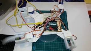 Arduino DIY Quadruped Robot made from Plastic Cardboard - Calibration