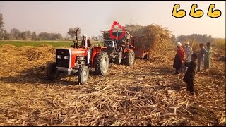 2 Tractor Mf 240  pulling fully loaded sugarcane trolley | Millat