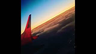 Flying Above The Cloud#shorts#flight#clouds#fly#airlines#youtubeshorts#airplane#ytshorts#aeroplane