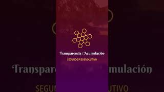 Transparencia - Acumulación - Segundo Piso Evolutivo