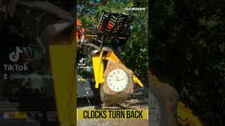 Turn back! #shorts #shortsvideo #turnbacktime #daylightsavingstime #danuser #danuserintimidator