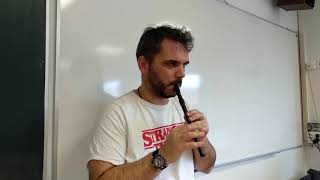 O SON DO AR (TERCERA PARTE) (TIN WHISTLE IRLANDÉS)