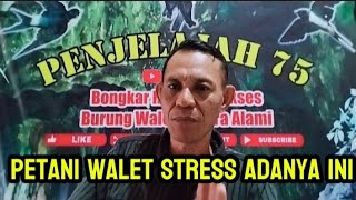 di mana kealamian aslinya walet ikuti langkah ini..?