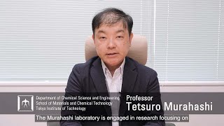 Molecular Nanometallics: Metal nanostructures and their function - Tetsuro Murahashi Laboratory