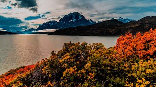 Пикник - Там, на самом на краю земли.  Patagonia