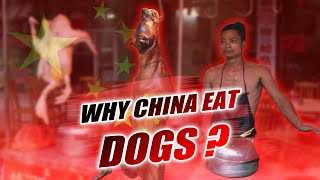 Why China Eat Dogs | The Secrets You Don't About China | Secret Solver