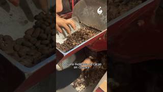 La molienda de chocolate en Oaxaca, México.