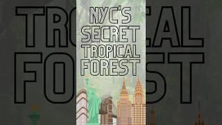 New York's Secret Tropical Forest #newyork #manhattan